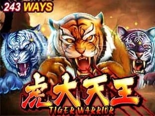 Tiger Warrior game thumbnail